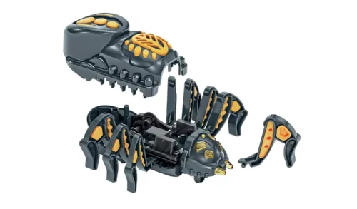 science and play spider attack lifestyle